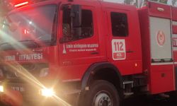 Bayındır'da ev yangını hayvan damına sıçradı