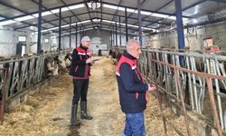 Besicilik işletmelerine yönelik 'kapasite ölçümleri' devam ediyor