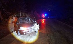 Bilecik'te kontrolden çıkan otomobil ağaca çarptı: 1 yaralı