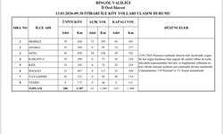 Bingöl genelinde karla mücadele sürüyor, 219 köy yolu kapalı