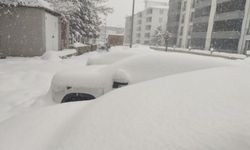 Bingöl'de kar yağışı aralıksız devam ediyor