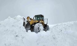 Bingöl'de karla mücadele çalışmaları gece gündüz sürüyor
