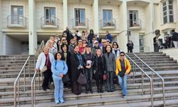 Bodrum'da 'Çinko' isimli köpeğe çarpan sürücünün yargılanmasına başlandı