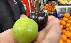 Bu meyveler aşerenler için Singapur'dan geliyor