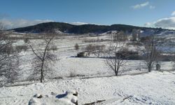 Buldan'da yılın ilk karı üreticileri sevindirdi