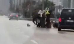 Bursa'da tartıştığı kuryeyi dövdü: O anlar kameraya yansıdı