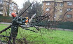 Büyükşehir ekipleri, şiddetli rüzgara karşı sahada