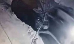 Buzda kayan araç park halindeki otomobile çarptı