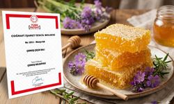 Çerkeş çiçek balı coğrafi işaret tescili aldı