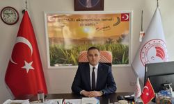 Çiftçilere yüzde 50 hibeli ayçiçeği tohumu dağıtılacak