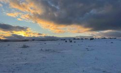 Çimsa, şehitlik için 80 yıllık rezervden feragat ediyor