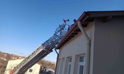 Çorum'da binanın çatısında mahsur kalan kediyi itfaiye ekibi kurtardı