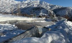 Derecik'te kardan dolayı 38 sera zara gördü