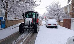 Develi'de kar kalınlığı 10 santime ulaştı