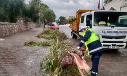Didim Belediyesi sahada çalışmalarını sürdürüyor