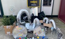 Didim'de uyuşturucu operasyonu: Kenevir yetiştirme kabini ele geçirildi