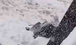 Diyarbakır'da kar çileye dönüştü