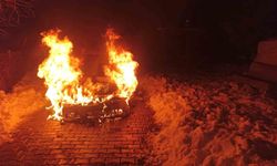 Diyarbakır'da seyir halindeki araç alev topuna döndü