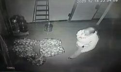 Ekmekte çirkin oyun