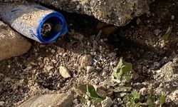 Elektrik kabloları kesilerek çalındı