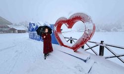 Ergan Dağı'nda kar kartpostallık manzara oluşturdu