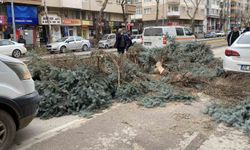 Eskişehir'de fırtına sebebiyle ağaçlar devrildi
