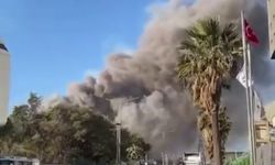 Fabrikada yaşanan patlamayla yükselen duman paniğe neden oldu