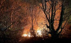 Filyos'ta ağaçlık alanda çıkan yangın korkuttu