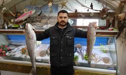 Gaziantep'te balık, kebabın tahtını sallıyor