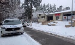 Gaziantep'te kuzenlerin av macerası kazara ölümle son buldu