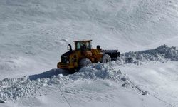 Hakkari'de 172 yerleşim yolu ulaşıma kapandı