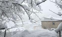 Hakkari'de 353 yerleşim yeri kapandı