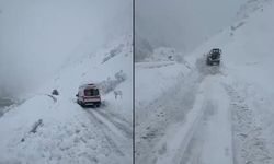 Hakkari'de 7 aylık bebek için çığlar aşıldı