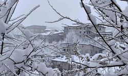 Hakkari'de 7 köy ve 18 mezra yolu için seferberlik