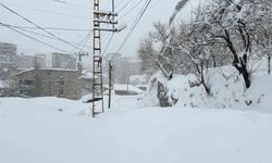 Hakkari'de 89 yerleşim yerinin yolu kapandı