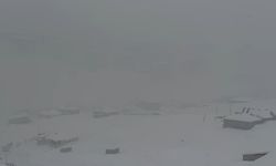 Hakkari'de kar yağışı: 43 yerleşim yerinin yolu kapandı