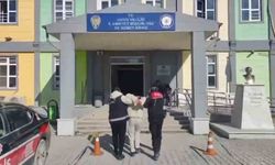 Hatay'da 750 bin liralık hırsızlık şüphelisi tutuklandı