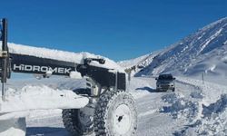 Iğdır'da karla kapanan tüm köy yolları ulaşıma açıldı