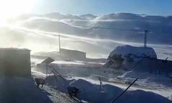 Iğdır'ın yüksek kesimlerinde tipi ve fırtına hayatı olumsuz etkiliyor