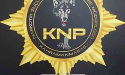 Kahramanmaraş'ta 184 adet sentetik ecza ele geçirildi