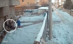 Kapıdan çıkan yerde kaldı: Evden çıkan herkes buzda kaydı