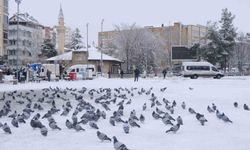 Karaman'da kar yağışı sevindirirken kartpostallık manzaralar oluştu