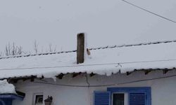 Karla kaplı çatıda mahsur kalan minik köpek kurtarıldı