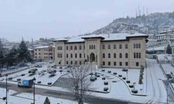 Kastamonu'da kar yağışı etkili oluyor