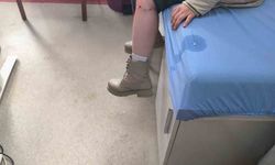 Kayseri'de sokak köpeğinin saldırısına uğrayan çocuk yaralandı