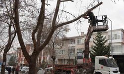 Keçiören Belediyesi, park ve yeşil alanlardaki bakım çalışmalarına devam ediyor