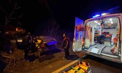 Kontrolden çıkan otomobil tarlaya girdi, sürücü yaralandı