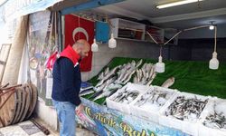 Köşk'te su ürünleri işletmeleri mercek altında