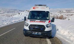 Kulp'ta arızalanan ambulans yol kenarında bekliyor