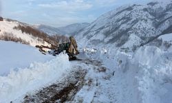 Kulp'ta kış yüzünü sert gösterdi